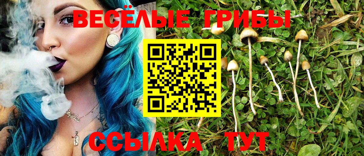Камышин  Псилоцибиновые грибы прущие грибы  Вход с VPN  Галлюциногенные грибы Magic Shrooms 